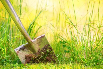 Uni Zürich: Der Spatenstich für die 5. Bauetappe auf dem Campus Irchel ist erfolgt. (© Floydine / Fotolia)