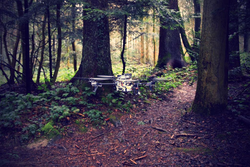 Die Drohne erkennt den Wanderweg selbstständig - dank künstlicher Intelligenz. (© UZH, USI, SUPSI / www.uzh.ch)