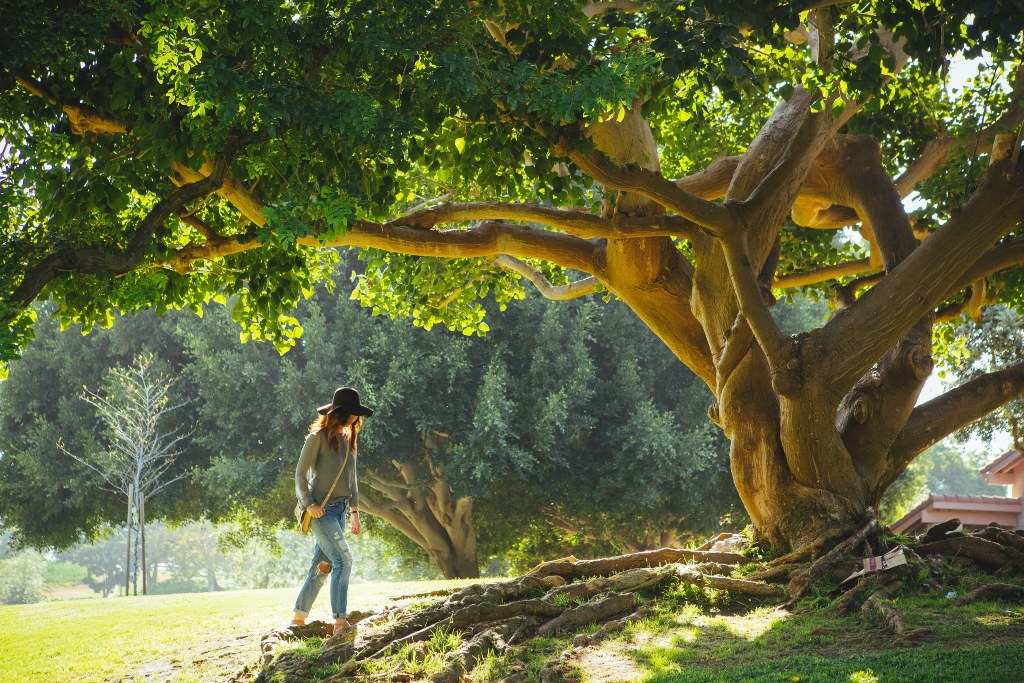 Abschalten in der Natur wirkt oftmals Wunder. Foto: Unsplash