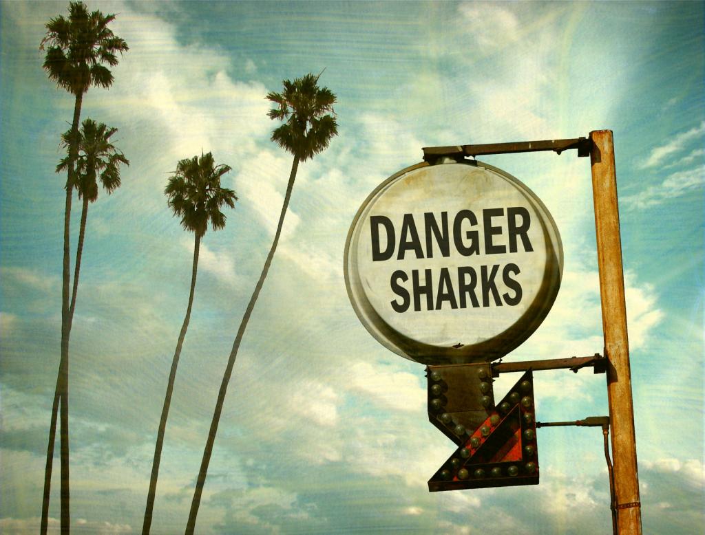 Strömungen, Felsen unter Wasser und Surfbretter sind für Wellenreiter gefährlicher als Haie. (© jdoms / Fotolia)