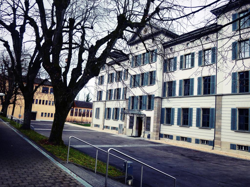 Die Fachmittelschule (FMS) Zug ist auf dem Prüfstand. (© Gabriel Aeschbacher)